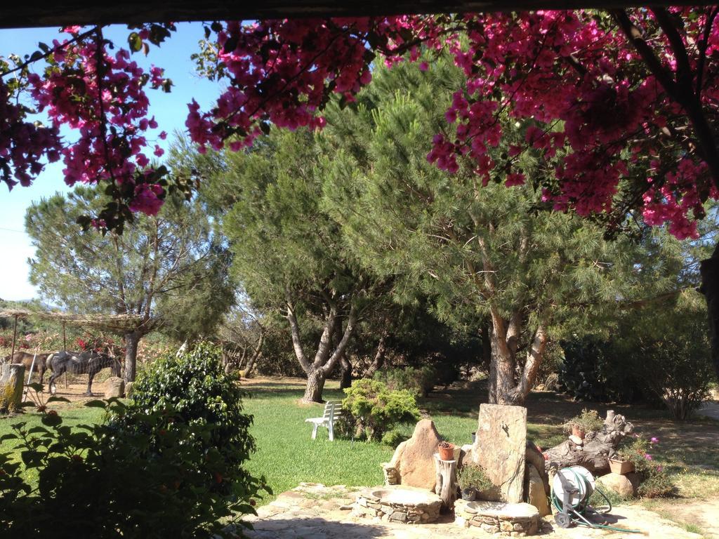 Il Ruscello Villa SantʼAnna Arresi Oda fotoğraf