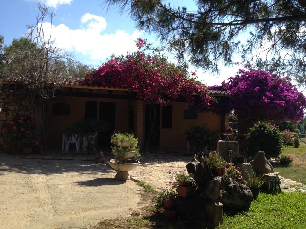 Il Ruscello Villa SantʼAnna Arresi Oda fotoğraf